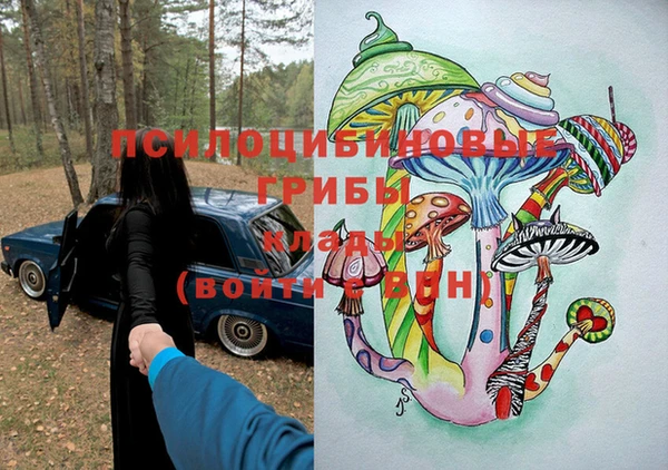 спайс Покачи
