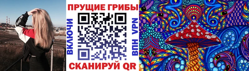 Галлюциногенные грибы Psilocybe  Осташков 